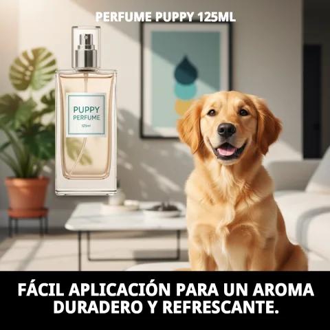 Perfume Puppy Moly en contexte de toilettage professionnel