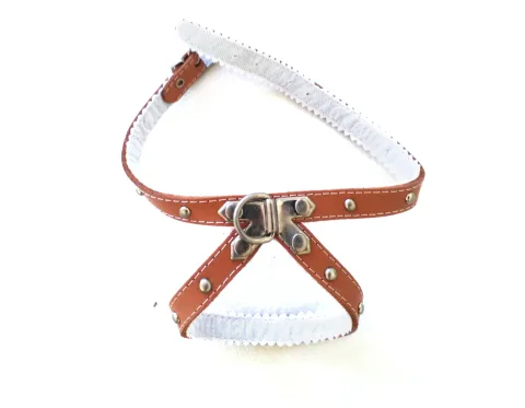 Détail de la boucle métallique du harnais en cuir