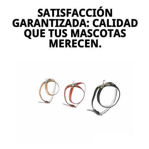 Harnais en cuir avec boucle facile à nettoyer et entretenir