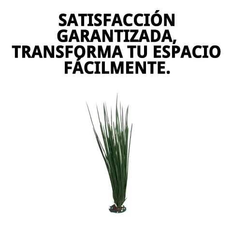 Plante décorative 23 cm avec lumière indirecte naturelle