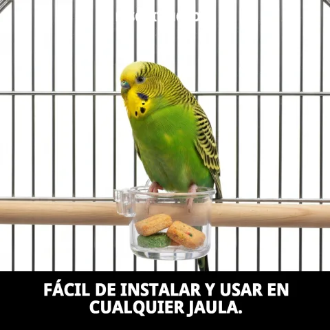 Vue latérale du Portasales Bizcochera montrant sa robustesse