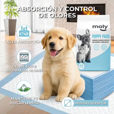 Utilisation du tapis Puppy Pads dans zone d’apprentissage chiot