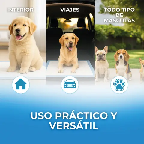Tapis absorbants Moly Puppy Pads dans caisse de transport pour chiens