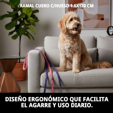 Comparaison taille et épaisseur de la laisse pour chiens