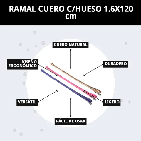 Accessoires en cuir pour chiens à côté de la laisse avec motif os