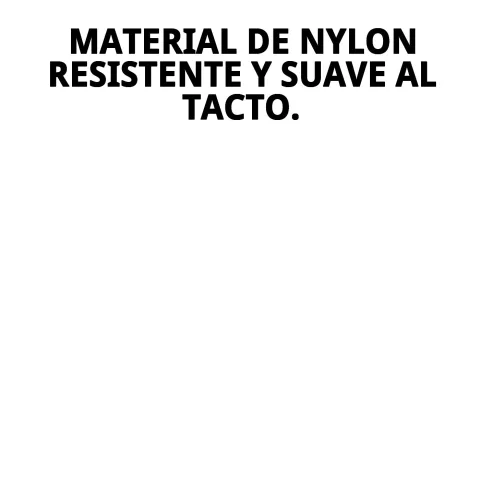 Laisse nylon Moly utilisée lors d'une promenade urbaine avec un grand chien