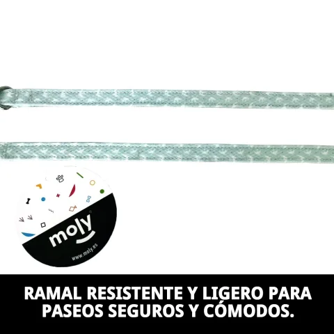 Laisse Gaviotas T-2 en nylon haute qualité pour promenades sécurisées