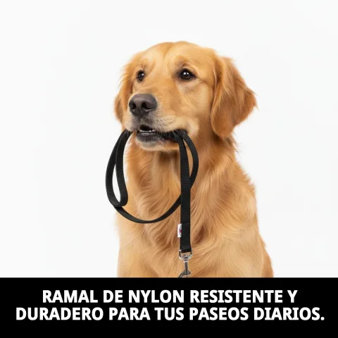 Utilisation du ramal lisse avec un collier pour chien