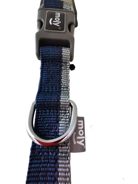 Détail du nylon réfléchissant de la laisse Moly Confort pour des promenades en toute sécurité