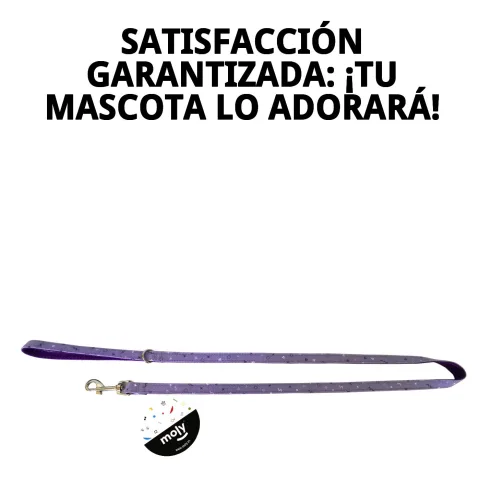 Laisse Moly lila enroulée pour rangement