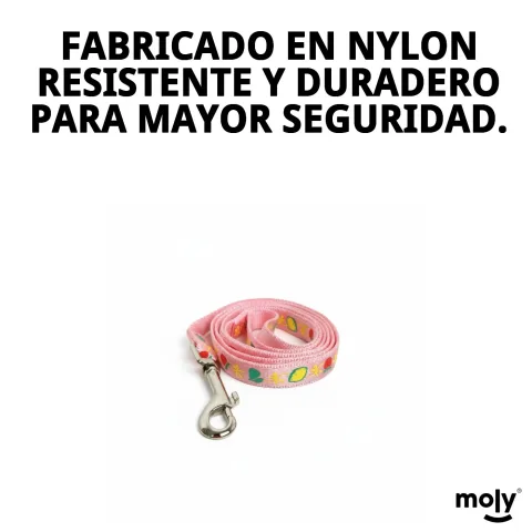 Laisse nylon flower montrant sa longueur de 120 cm