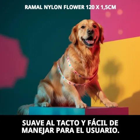 Utilisation de la laisse nylon flower lors d’une promenade avec un chien moyen