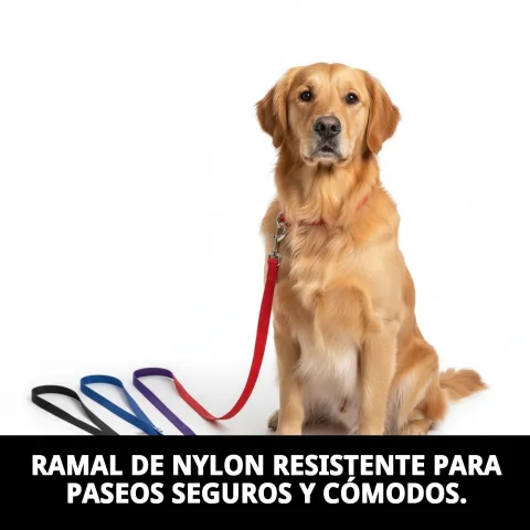 Ramal nylon lisse posé sur fond blanc
