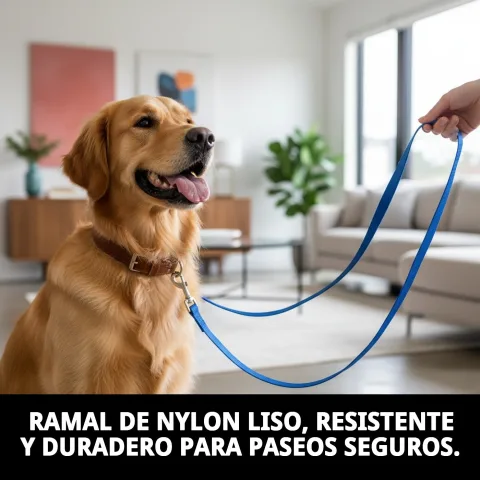 Ramal nylon lisse utilisé lors d'une promenade avec chien