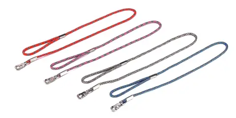 Poignée ergonomique du ramal nylon rond pour chiens