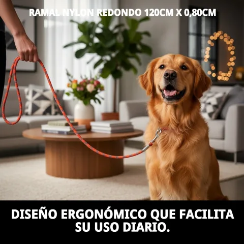 Ramal nylon résistant pour chiens en extérieur