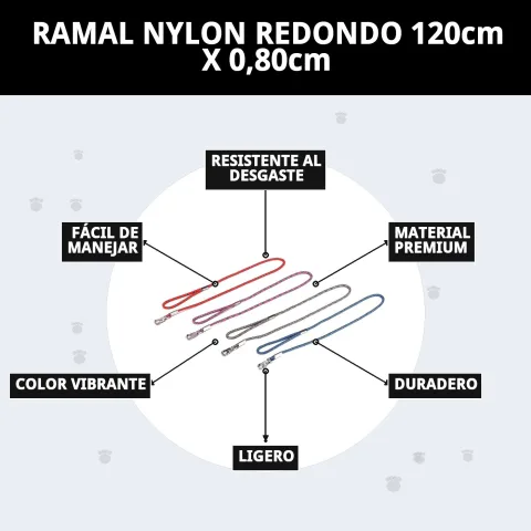 Ramal nylon rond avec chien marchant dans un parc