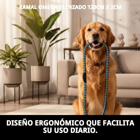 Ramal Omega à côté d'un harnais en nylon pour chiens
