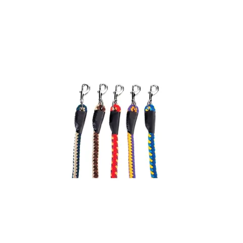 Poignée ergonomique du ramal Omega pour promenades confortables
