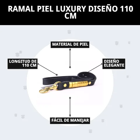 Laisse cuir luxury noire détails dorés avec collier cuir luxury