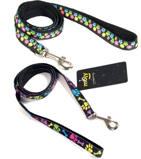 Détail du motif pattes multicolores sur la laisse en cuir