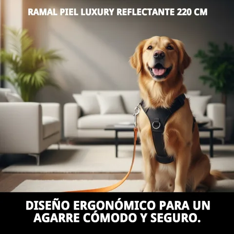 Matériau cuir de haute qualité de la laisse luxury réfléchissante