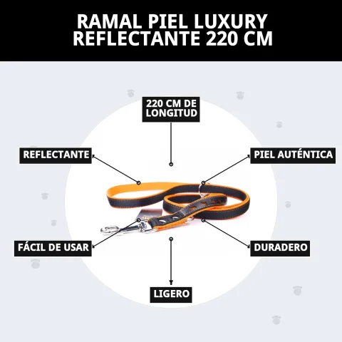 Laisse cuir luxury réfléchissante à côté d'un collier cuir lisse orange