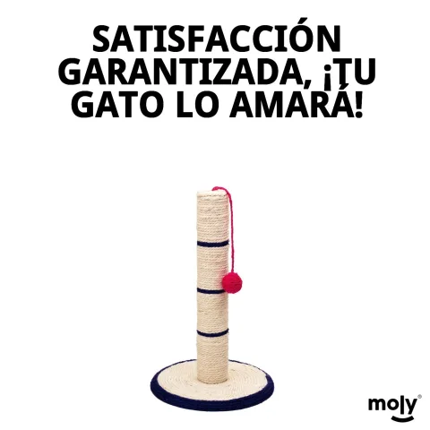 Griffoir poste sisal avec balle dans un salon