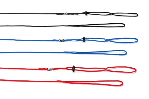 Laisse pour un contrôle sécurisé des lapins et cochons d'Inde lors des promenades