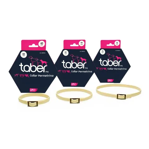 Détail du collier Taberdog antiparasitaire avec fermeture sécurisée