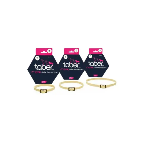 Collier Taberdog résistant à l'eau pour chiens actifs