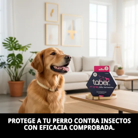 Protection antiparasitaire prolongée avec collier Taberdog