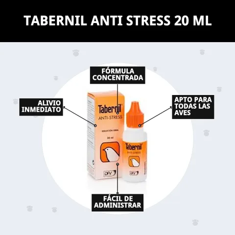 Présentation complète de TABERNIL ANTI STRESS 20 ml sur Compa Pattes
