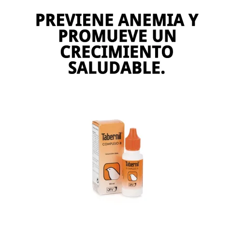Contenu liquide du supplément TABERNIL COMPLEJO B20 ML