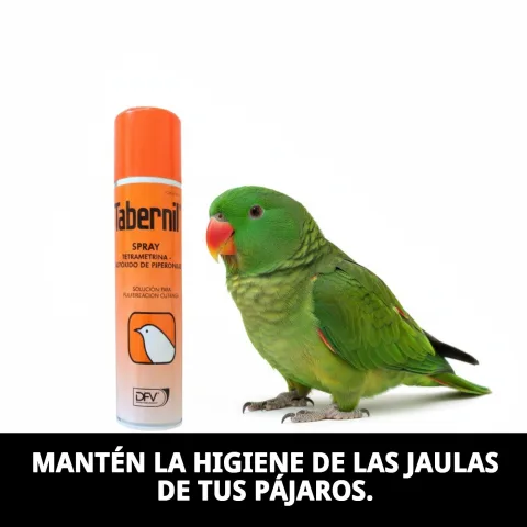 Tabernil Spray Tetra-But pour le soin de la peau des oiseaux