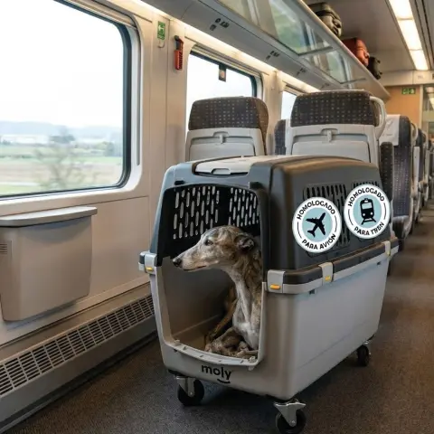 Grilles de ventilation latérales du transportin pour chiens grands