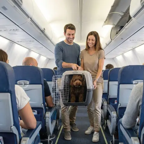 Transportin Gulliver N° 2 avec poignée ergonomique pour un transport confortable