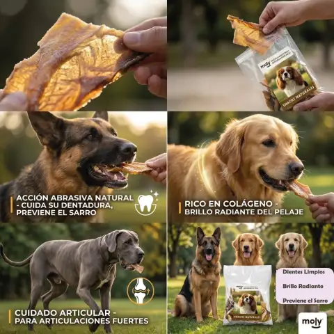 Friandise naturelle pour chiens sans additifs ni conservateurs