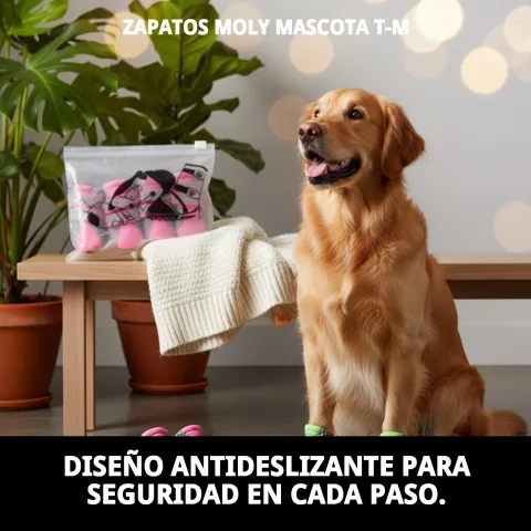 Protection des pattes avec chaussures Moly Mascota T-M sur surface glissante