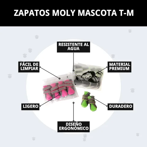 Emballage et présentation des chaussures Moly Mascota T-M