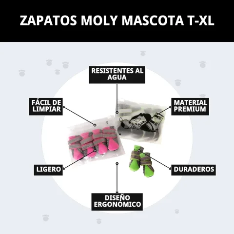 Emballage et présentation des chaussures Moly Mascota T-XL chez Compa Pattes