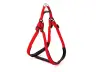 Harnais Nylon Confort Acolché 2,5 cm pour chiens – Sécurité et confort – Moly