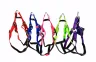 Harnais nylon confort 2cm