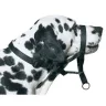 Museruola DOG CONTROL N.7 Boxer 54cm
