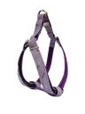 Harnais Petral Moly lila T-5 40-50 cm